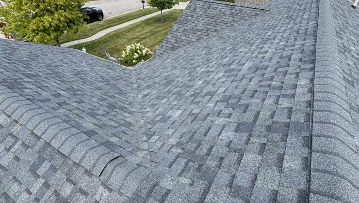 IMG_7609-scaled IMG_7609-scaled